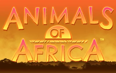 Animals of Africa Small Image