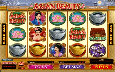 Asian Beauty Small Image