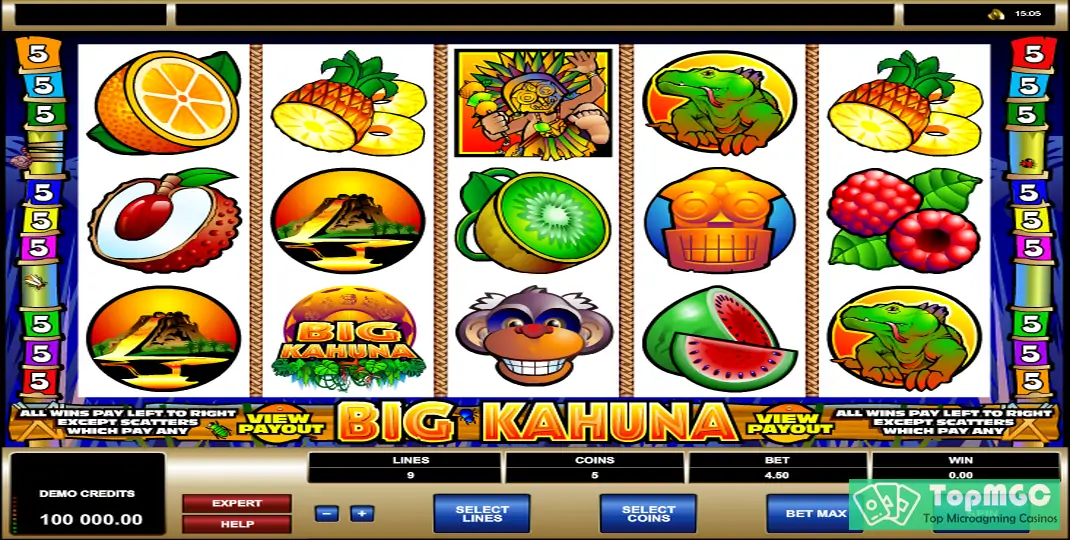 Big Kahuna Slot Demo