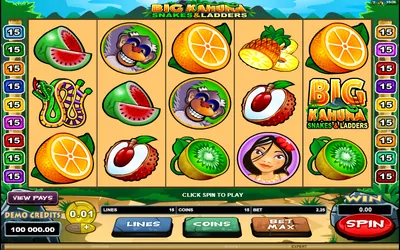 Big Kahuna: Snakes and Ladders Small Image