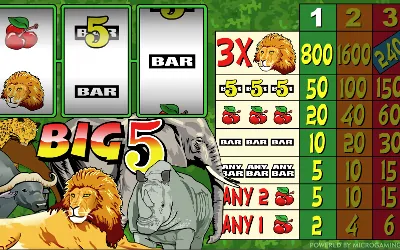 Big 5 Small Image