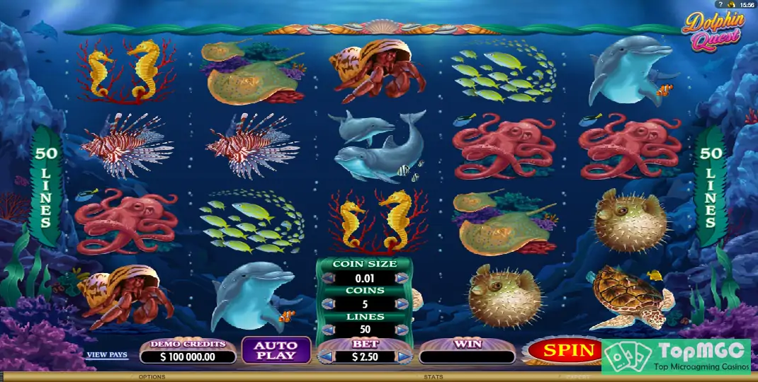 Dolphin Quest Slot Demo