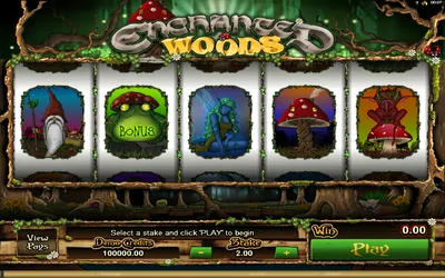 Enchanted Woods Small Image