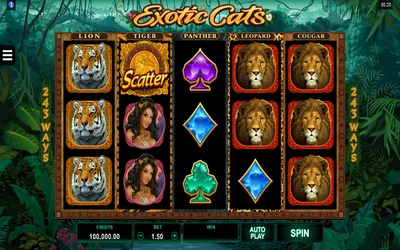 Exotic Cats Small Image