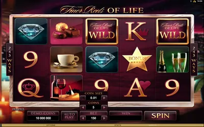 The Finer Reels of Life Small Image