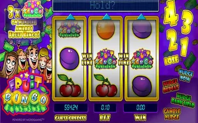 Fruit Bingo Small Image