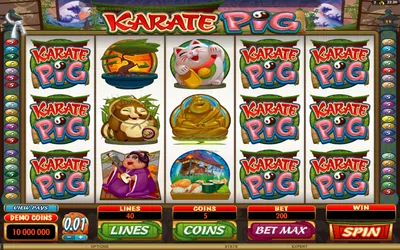 Karate Pig Small Image
