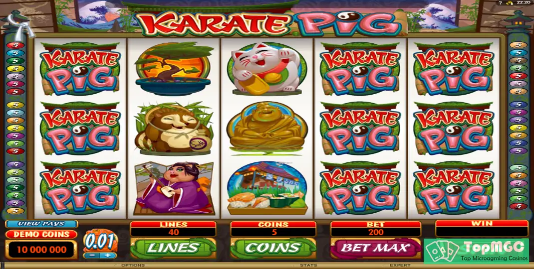 Karate Pig Slot Demo