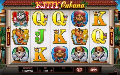 Kitty Cabana Small Image