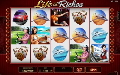 Life of Riches Small Image