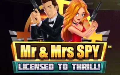 Mr and Mrs Spy Small Image