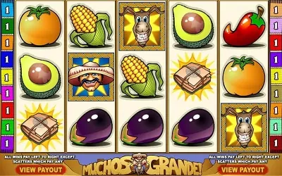 Muchos Grande! Small Image