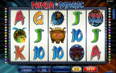 Ninja Magic Small Image
