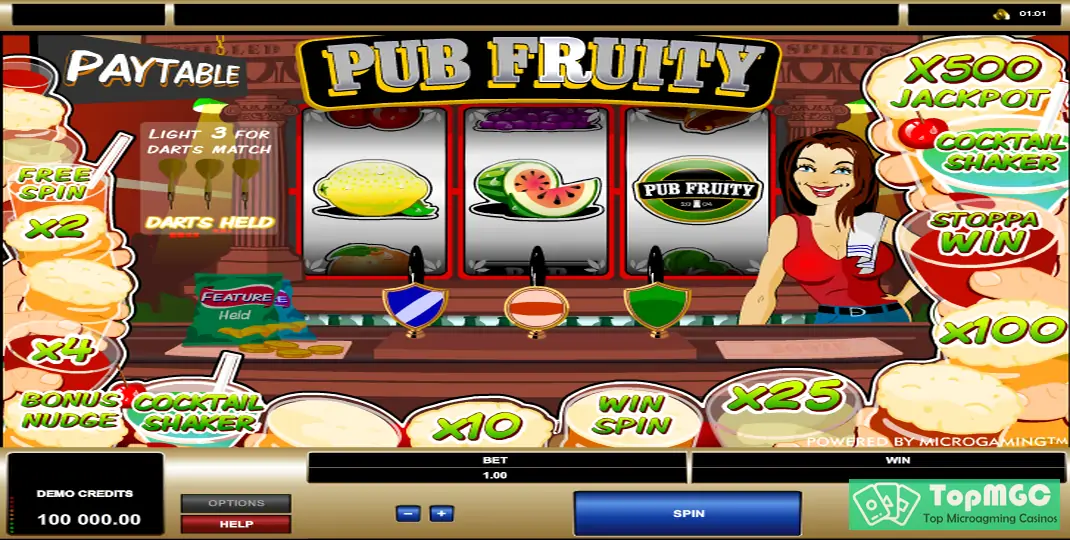 Pub Fruity Slot Demo