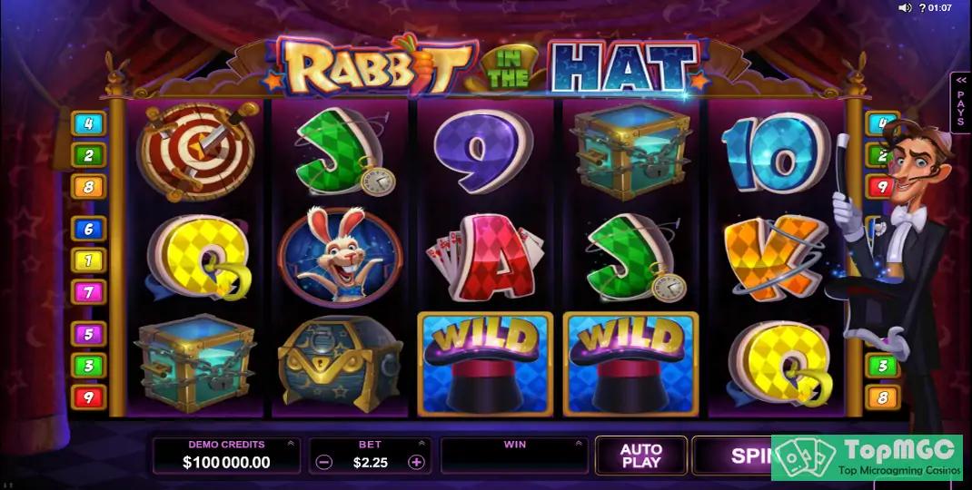 Rabbit in the Hat Slot Demo