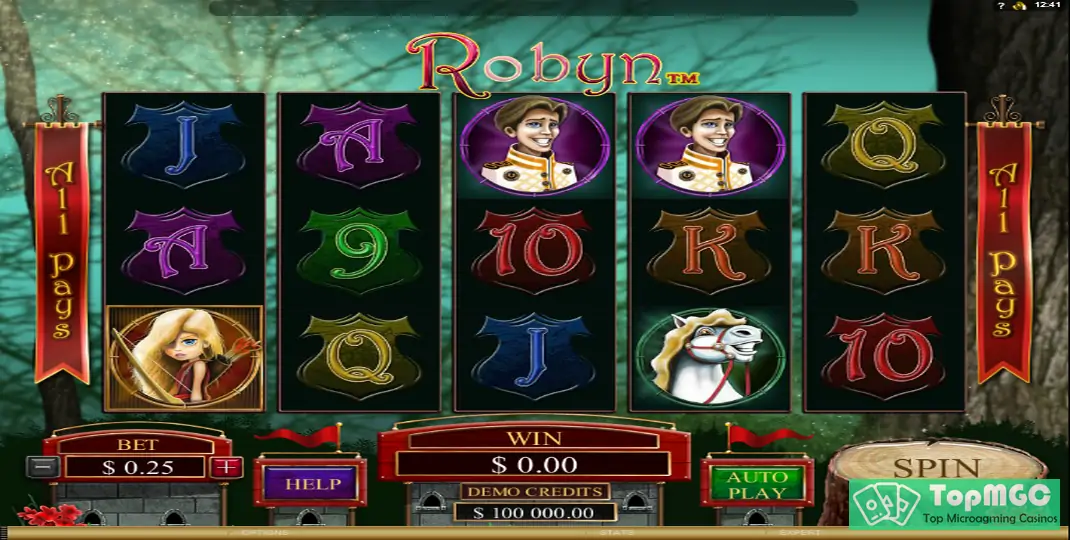 Robyn Slot Demo