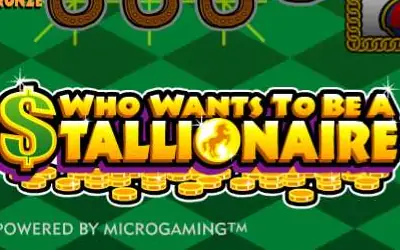 Who Wants To Be A Stallionaire! Small Image