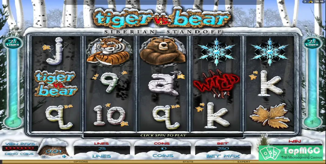 Tiger vs. Bear Slot Demo