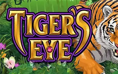 Tiger's Eye Small Image