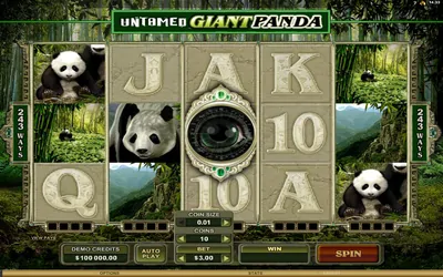 Untamed: Giant Panda Small Image