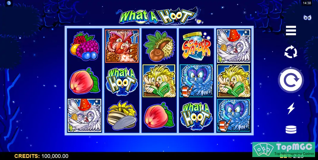 What a Hoot Slot Demo