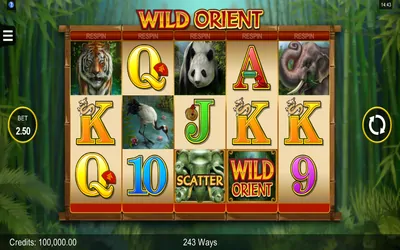 Wild Orient Small Image