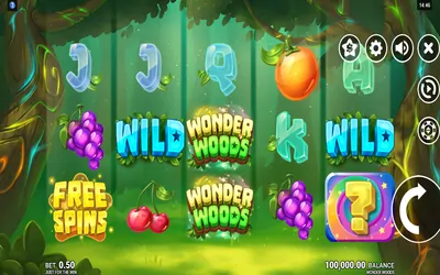 Wonder Woods Small Image