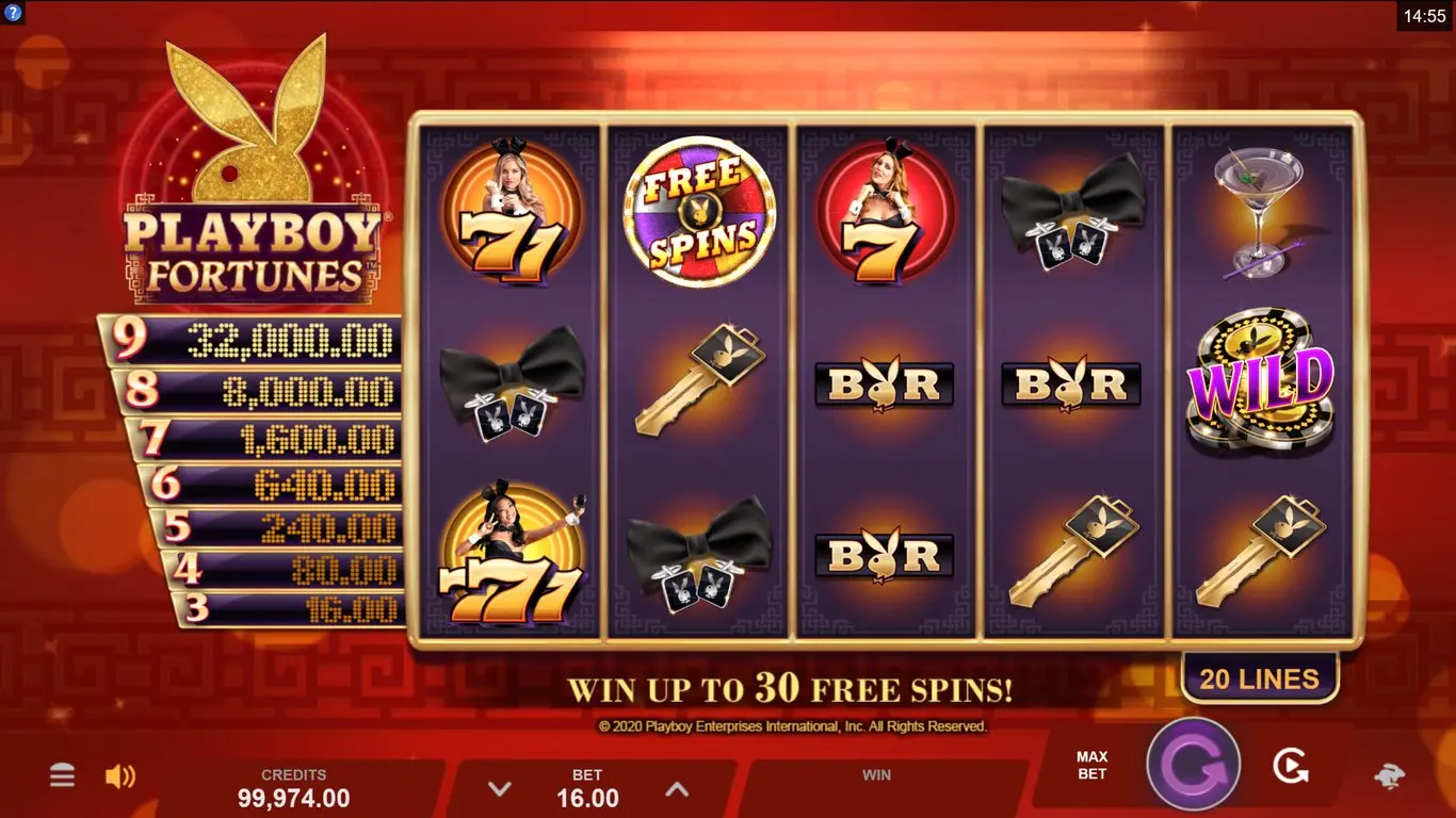Playboy Fortunes slot